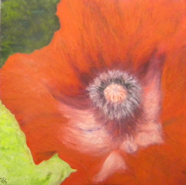 Klatschmohn III